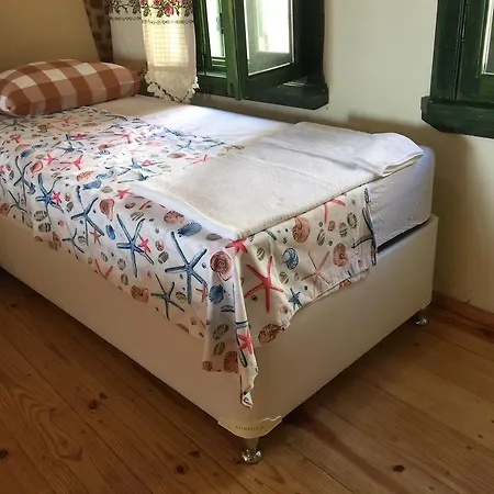 Tarihi Kucuk Tas Konak 2 Villa Ayvalı